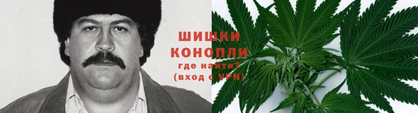 гидропоника Абдулино