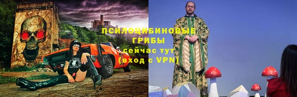 бошки Алексин
