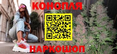 крисы Бийск