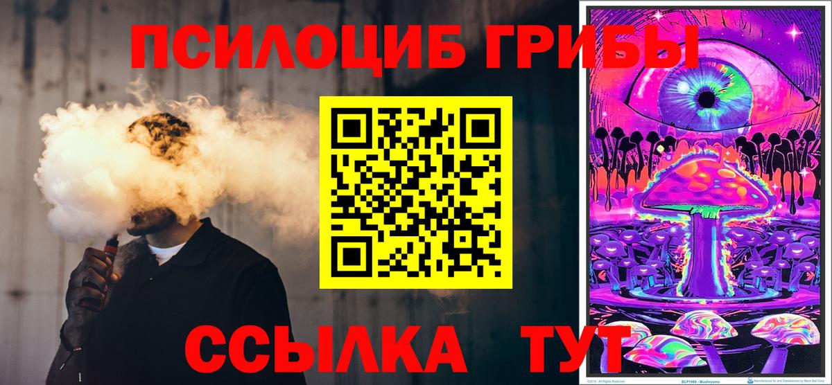 Псилоцибиновые грибы GOLDEN TEACHER  Вход с VPN  Губкин  Псилоцибиновые грибы мухоморы 
