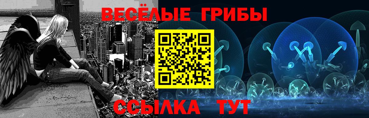 Псилоцибиновые грибы мицелий Губкин